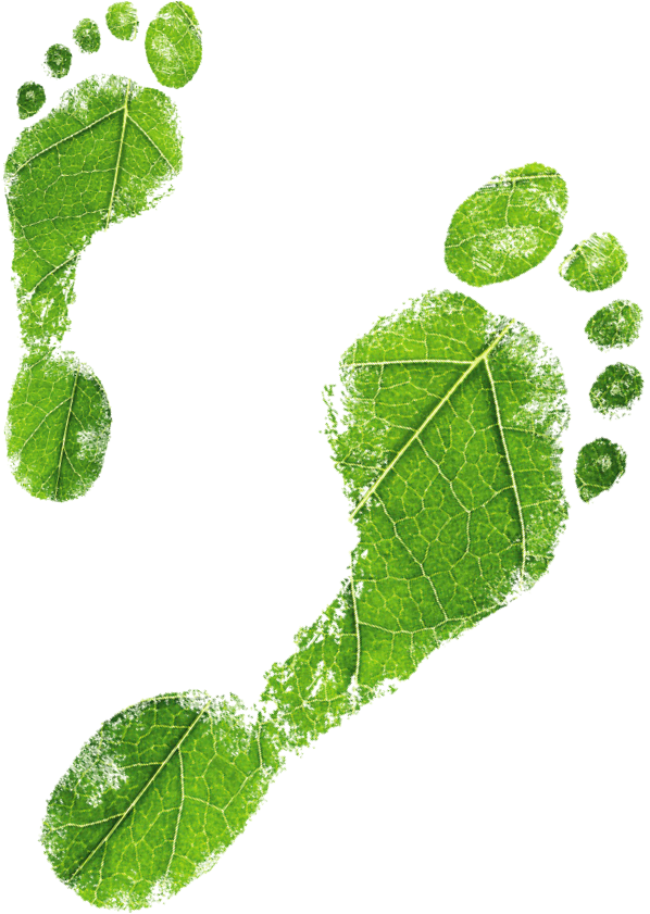 Carbon Footprint